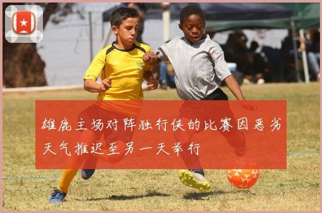 雄鹿主场对阵独行侠的比赛因恶劣天气推迟至另一天举行